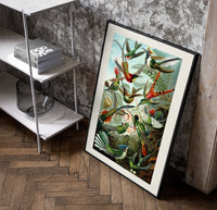 Colorful hummingbirds among tropical foliage poster in a black frame leaning beside a shelf in a raw-plaster loft