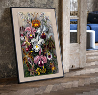 Botanical illustration of various orchids print in a black frame leaning beside a vintage door on parquet