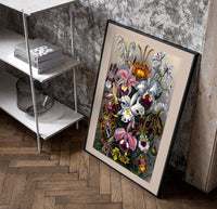 Botanical illustration of various orchids poster in a black frame leaning beside a shelf in a raw-plaster loft