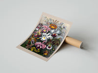 Rolled Botanical illustration of various orchids poster beside its crush-resistant kraft shipping tube