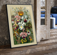 Colorful orchid flowers botanical illustration print in a black frame leaning beside a vintage door on parquet