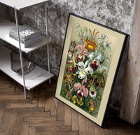 Colorful orchid flowers botanical illustration poster in a black frame leaning beside a shelf in a raw-plaster loft