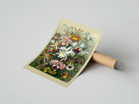 Rolled Colorful orchid flowers botanical illustration poster beside its crush-resistant kraft shipping tube