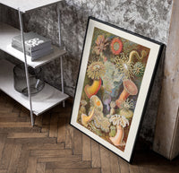 Sea anemones illustration poster in a black frame leaning beside a shelf in a raw-plaster loft