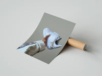Gently curled White Sneaker with Gold Chains print beside its protective shipping tube