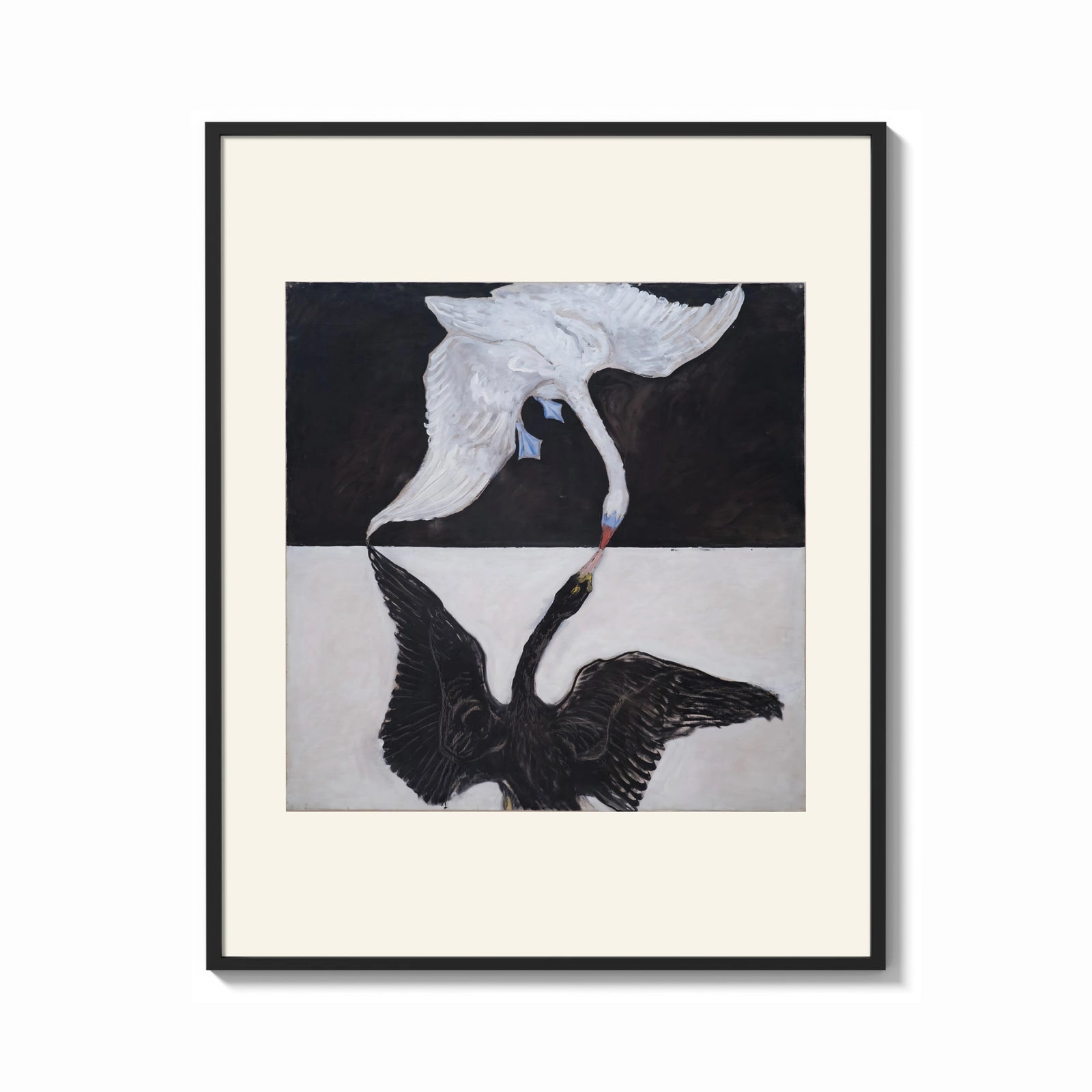 Framed Two swans, one white one black print shown as a bold statement piece on a clean gallery wall