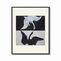 Framed Two swans, one white one black print shown as a bold statement piece on a clean gallery wall
