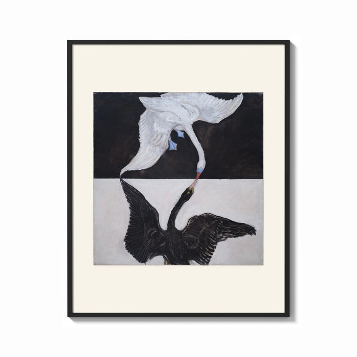 Framed Two swans, one white one black print shown as a bold statement piece on a clean gallery wall