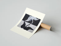 Rolled Two swans, one white one black poster beside its crush-resistant kraft shipping tube