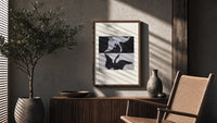 Two swans, one white one black poster framed above a fluted sideboard beside an olive tree