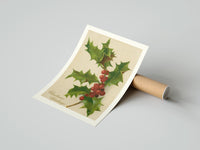 Gently curled Holly Christmas Greetings print beside its protective shipping tube