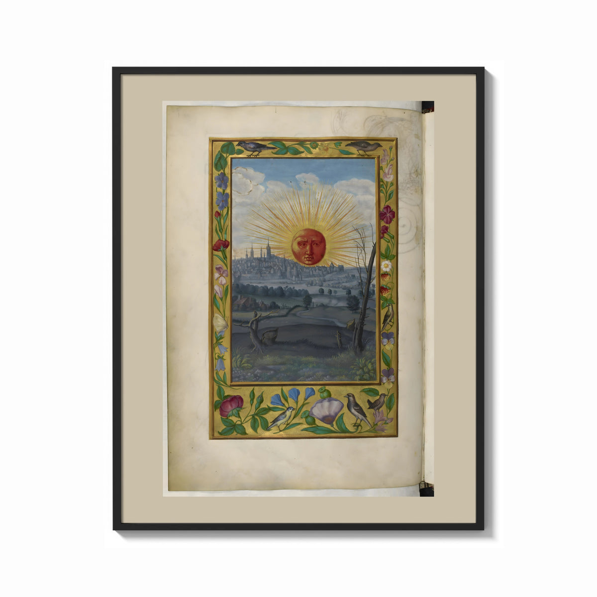 Framed Splendor Solis The Sun print shown as a bold statement piece on a clean gallery wall