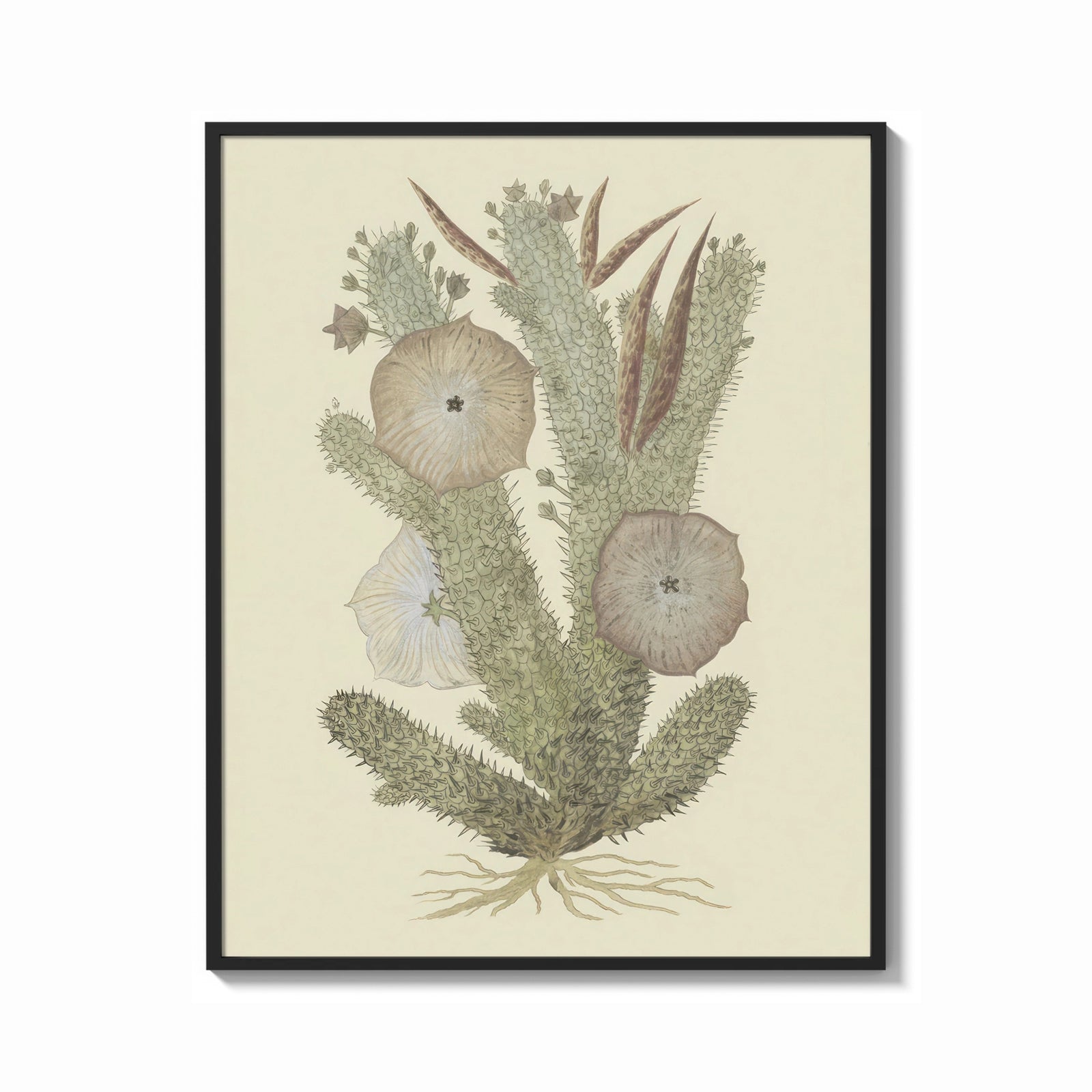 Framed cactus with flowers vintage art print print shown as a bold statement piece on a clean gallery wall