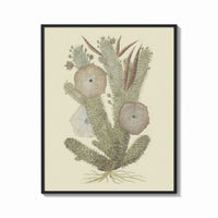 Framed cactus with flowers vintage art print print shown as a bold statement piece on a clean gallery wall