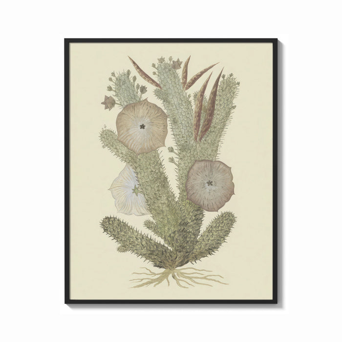 Framed cactus with flowers vintage art print print shown as a bold statement piece on a clean gallery wall