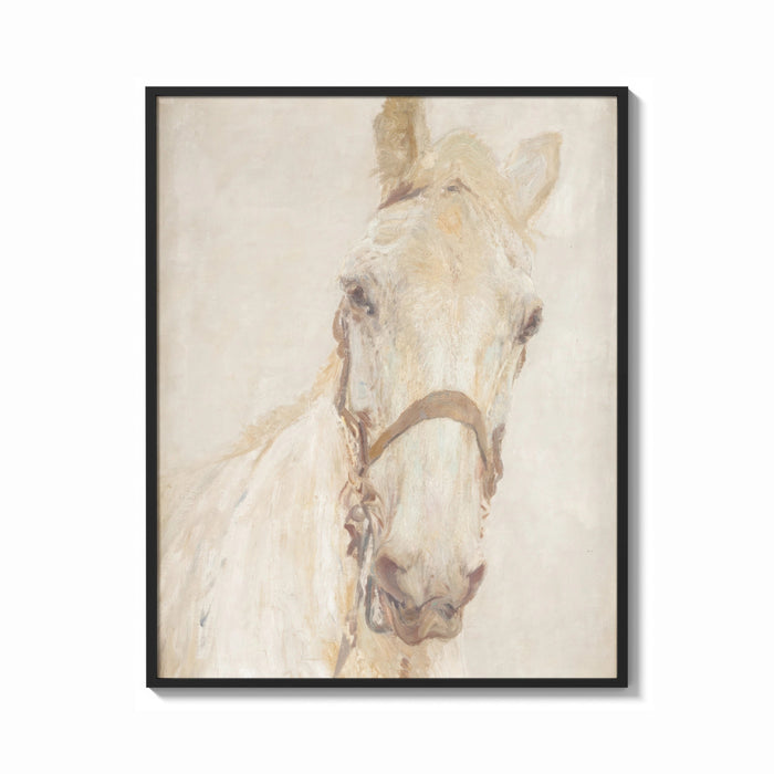 Framed white horse head portrait with bridle vintage art print print shown as a bold statement piece on a clean gallery wall