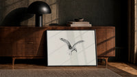 seagull in flight, pencil sketch vintage art print print in a black frame leaning against a walnut console in lamplight