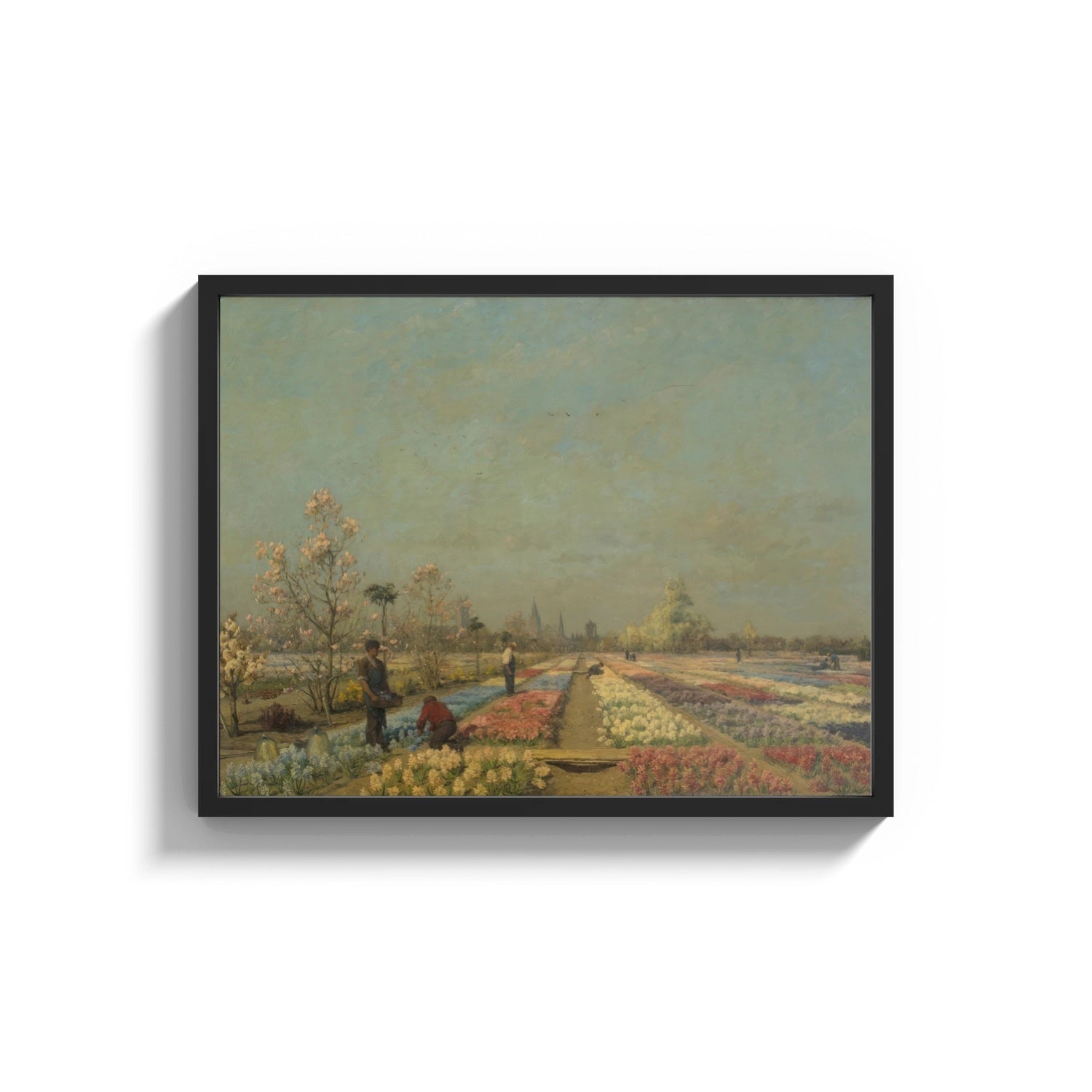 Framed workers tending a colorful tulip field vintage art print print shown as a wide statement piece on a clean white wall