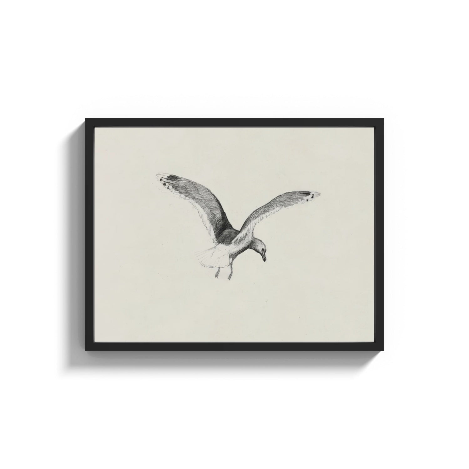 Framed seagull in flight, pencil sketch vintage art print print shown as a wide statement piece on a clean white wall