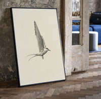tern in flight sketch vintage art print print in a black frame leaning beside a vintage door on parquet