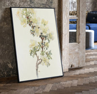 Cliff Rose botanical study with labeled names vintage art print print in a black frame leaning beside a vintage door on…