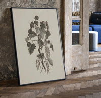 engraved currant branch study vintage art print print in a black frame leaning beside a vintage door on parquet