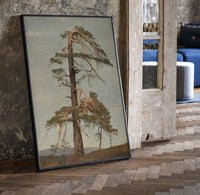 gnarled windblown pine tree against sky vintage art print print in a black frame leaning beside a vintage door on parquet
