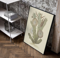 cactus with flowers vintage art print poster in a black frame leaning beside a shelf in a raw-plaster loft