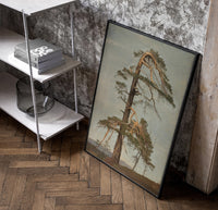 gnarled windblown pine tree against sky vintage art print poster in a black frame leaning beside a shelf in a raw-plaster…