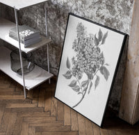 flowering lilac branch vintage art print poster in a black frame leaning beside a shelf in a raw-plaster loft