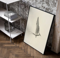 tern in flight sketch vintage art print poster in a black frame leaning beside a shelf in a raw-plaster loft