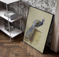 peacock with full tail perched on ledge vintage art print poster in a black frame leaning beside a shelf in a raw-plaster…