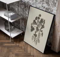 engraved currant branch study vintage art print poster in a black frame leaning beside a shelf in a raw-plaster loft