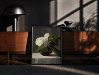 Black-framed white peony in dark glass vase vintage art print print on a moody console with designer coffee-table books