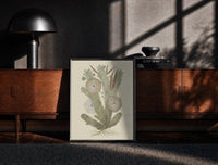 Black-framed cactus with flowers vintage art print print on a moody console with designer coffee-table books