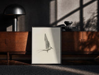 Black-framed tern in flight sketch vintage art print print on a moody console with designer coffee-table books