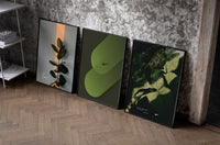 Nike Botanical framed poster set of 3 set of three black-framed prints leaning against a raw-plaster wall