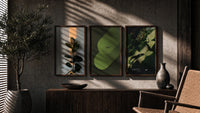 Nike Botanical framed poster set of 3 triptych in three walnut frames above a sideboard in a warm room