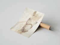Rolled white horse head portrait with bridle vintage art print poster beside its crush-resistant kraft shipping tube