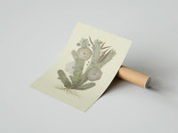 Rolled cactus with flowers vintage art print poster beside its crush-resistant kraft shipping tube