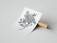 Rolled flowering lilac branch vintage art print poster beside its crush-resistant kraft shipping tube