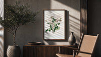 white Provence rose botanical study vintage art print poster framed above a fluted sideboard beside an olive tree