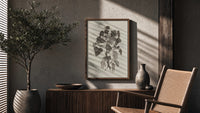 engraved currant branch study vintage art print poster framed above a fluted sideboard beside an olive tree