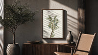 juniper branch with berries vintage art print poster framed above a fluted sideboard beside an olive tree