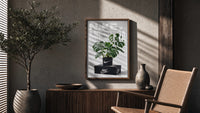 Nike Monstera Sneaker framed poster poster framed above a fluted sideboard beside an olive tree