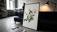 white Provence rose botanical study vintage art print print in a slim black frame leaning on a dark sofa in a concrete…