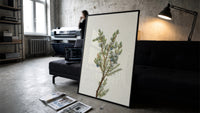 juniper branch with berries vintage art print print in a slim black frame leaning on a dark sofa in a concrete print studio