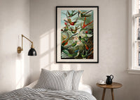 Haeckel Hummingbirds print in a black frame above a bed with striped linens, a brass wall lamp and a sunlit window