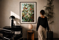 Haeckel Hummingbirds print in a black frame on a sunlit plaster wall, a woman looking on beside a mushroom lamp