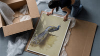 peacock with full tail perched on ledge vintage art print framed print being unpacked from protective bubble wrap and a box